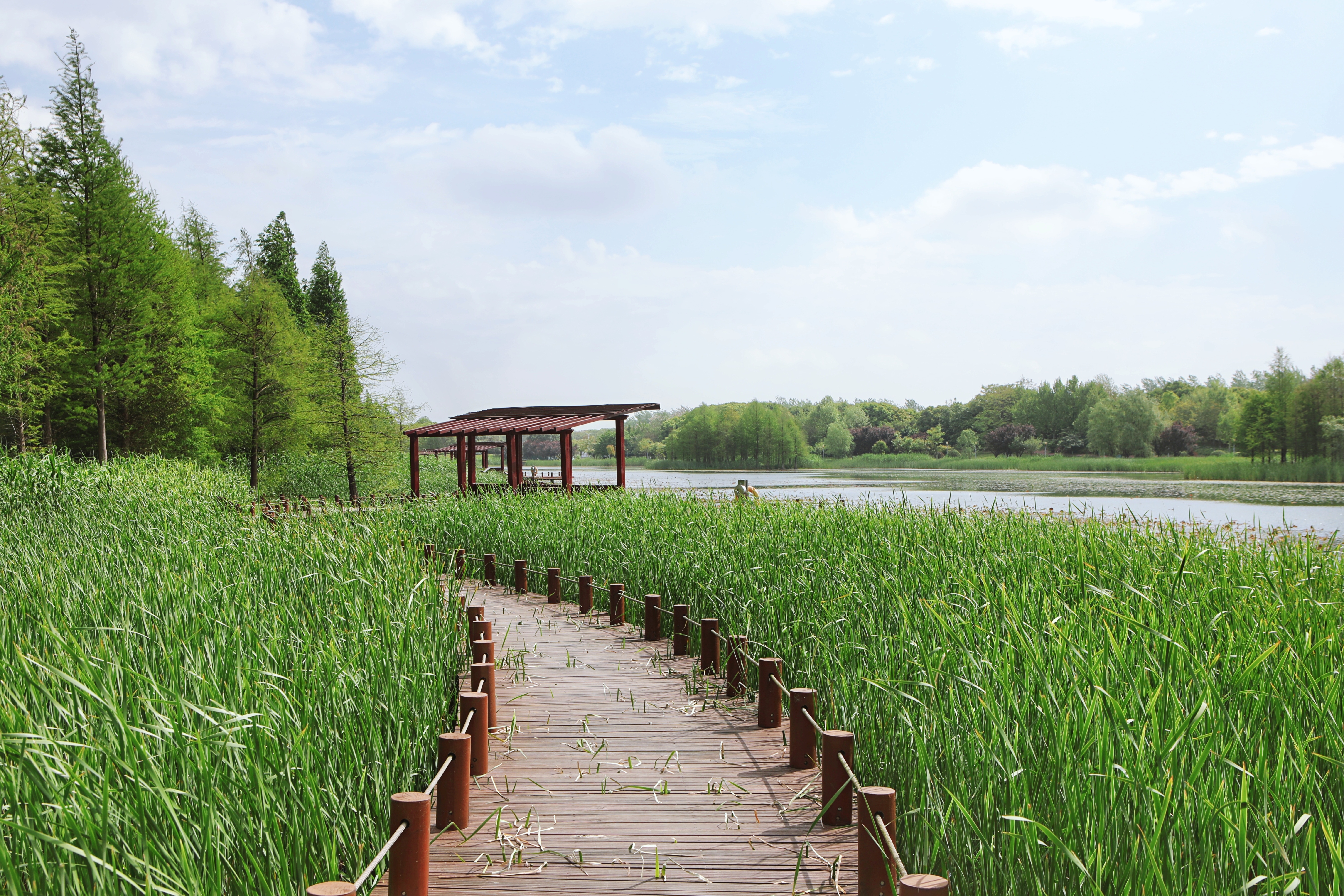 长三角湾区,有个深藏闺中的苏州太湖新城,被看作是未来之城