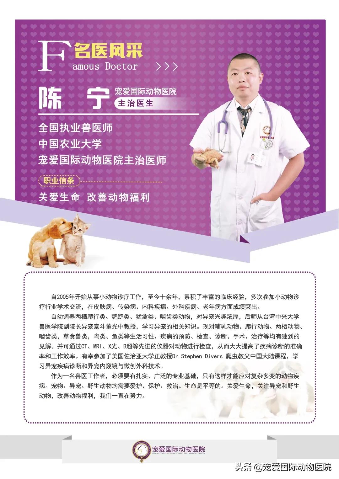 如何分辨乌龟生病,乌龟生病怎么看