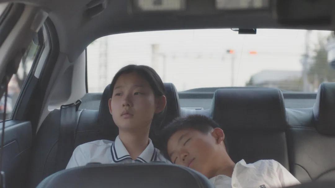 被严重低估的冷门佳片,必看十部佳片