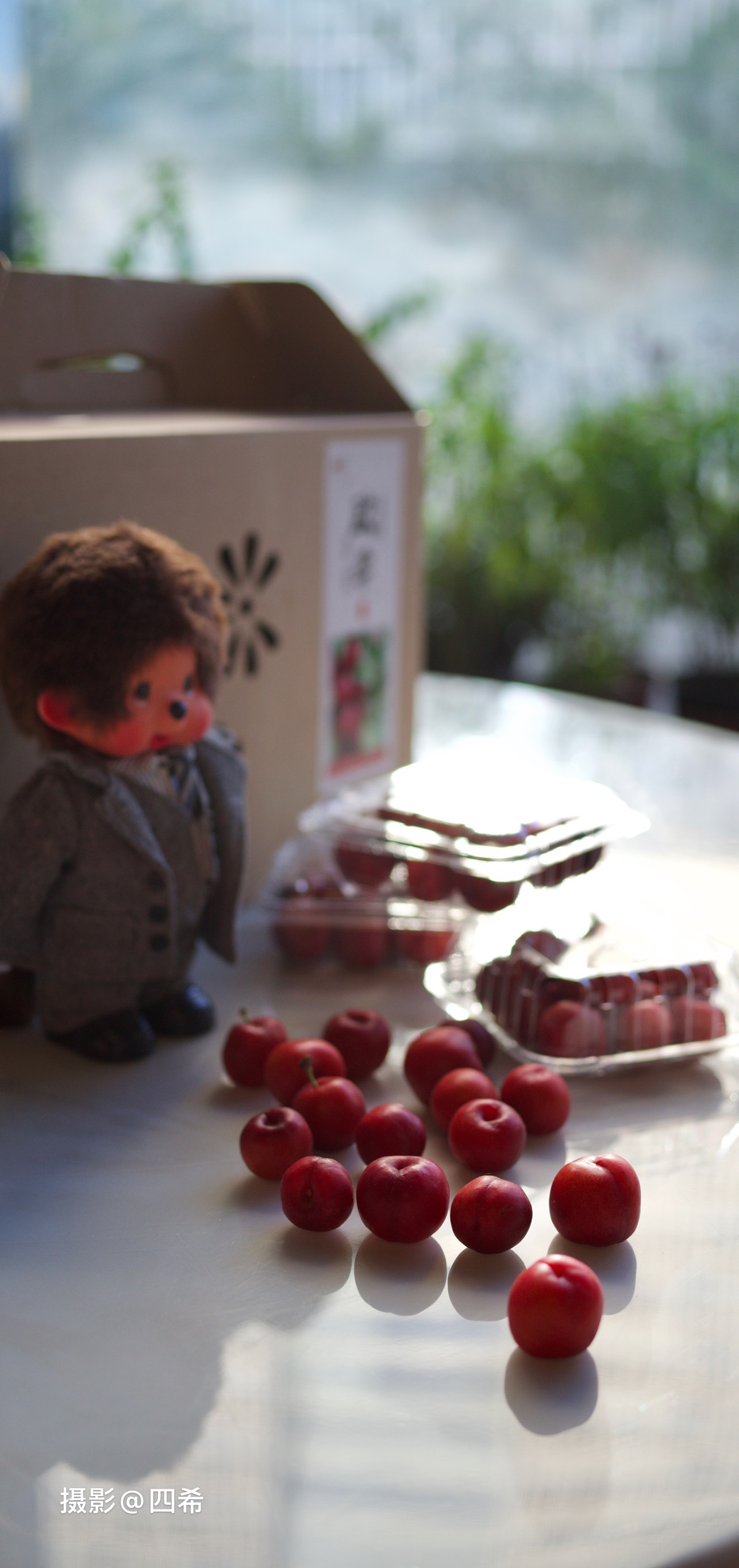 欧丽娟,欧李钙果