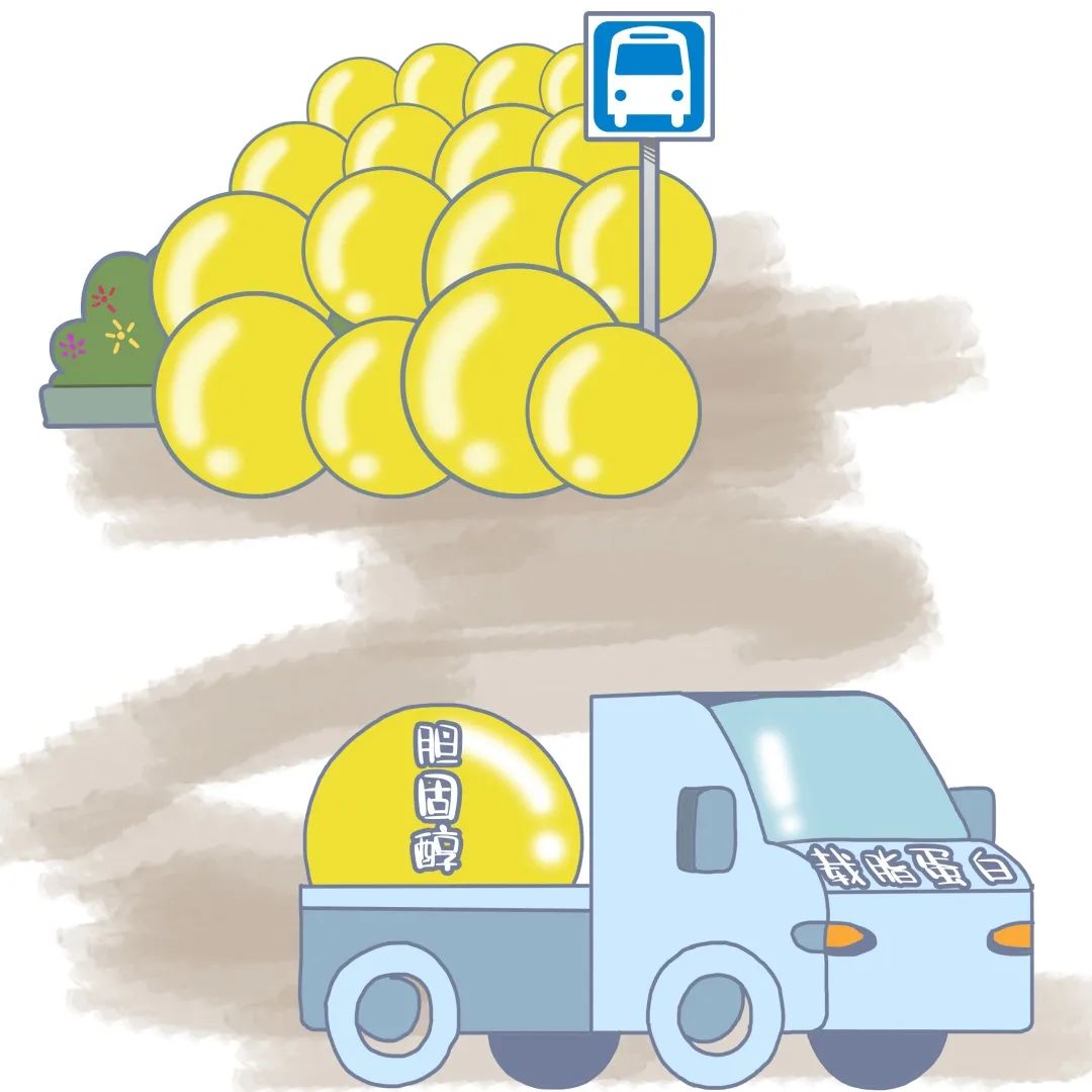 血常规体检的这个指标很重要,体检血常规各项指标及说明