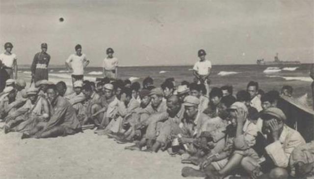 金门战役解密,金门战役有哪些教训