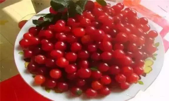 东北版满汉全席,原汁原味的满汉全席