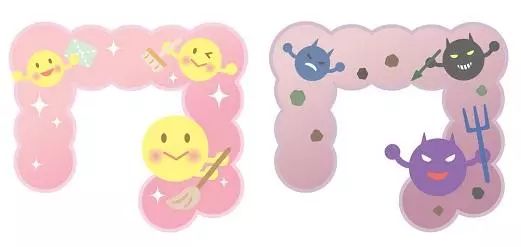 益生菌在自闭症治疗中的应用（二）