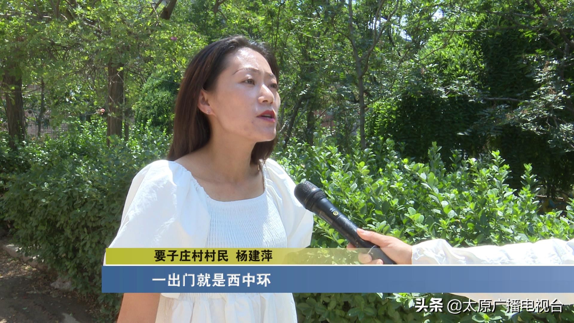 乡村振兴!太原要子庄村“绿”土地长出“金娃娃”