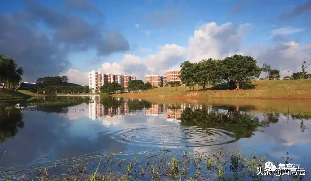 东莞高中五大名校收费标准最新,东莞学校收费前十高中