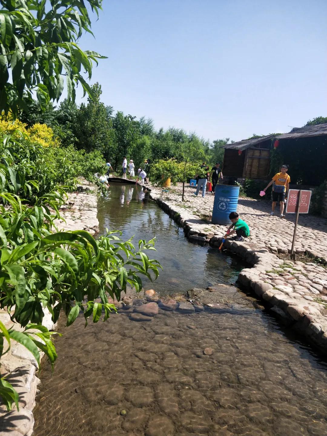 石家庄豌豆农场门票,豌豆农场井陉