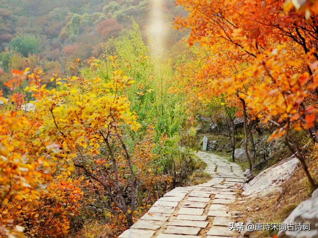 许你一个最美的金秋,许你一个诗意的四季