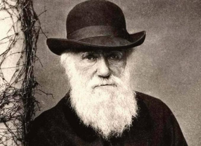 南非少女巴特曼照片,南非少女萨拉·巴特曼照片