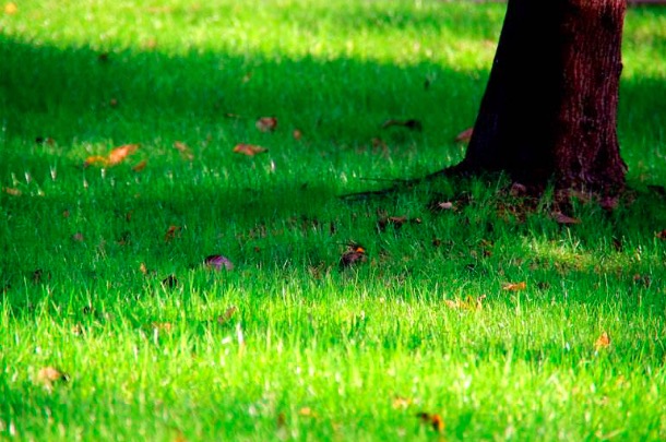 苏轼十首巅峰之作简短,苏轼千古名作催人泪下