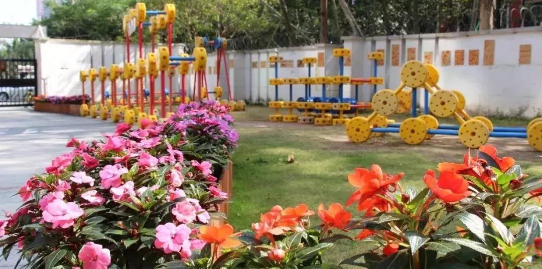 深圳普林斯顿国际幼儿园学费,深圳贝赛思国际学校幼儿园学费