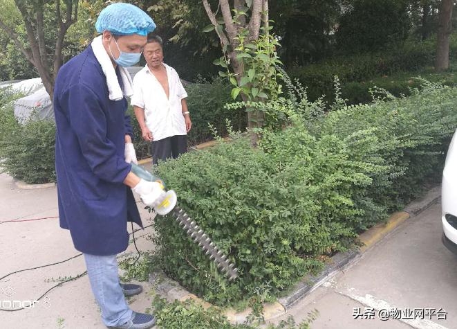 园林养护工具,常见的园林工具及养护知识