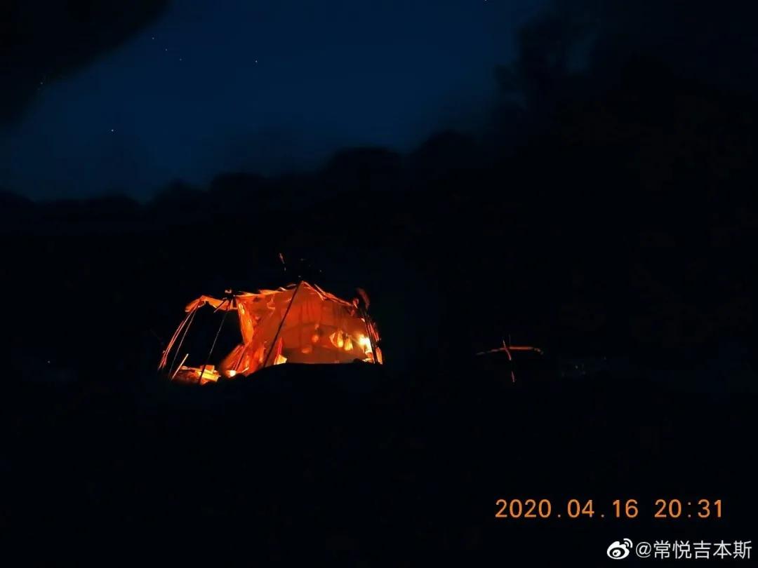 一群90后学霸，嚷嚷着要给它们找对象：自己单身不要紧