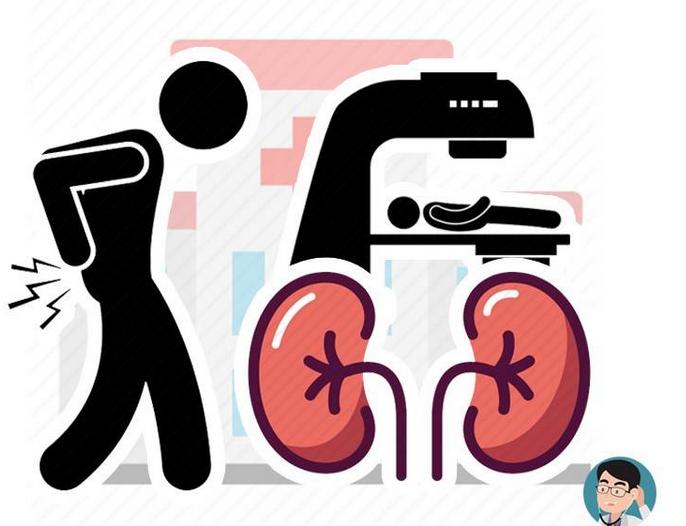 肾虚补肾的最佳方法图文,肾气足百病除初秋补肾