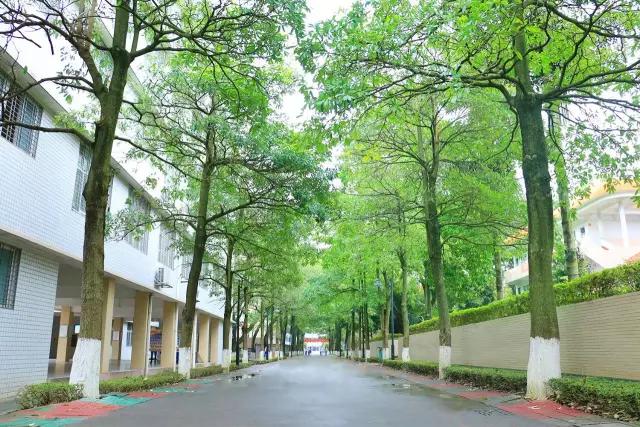 梅州最好的中学排名,梅州最美的学校