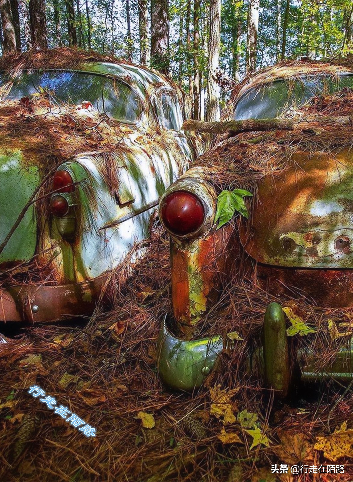 最值钱的废品,最值钱的废品回收