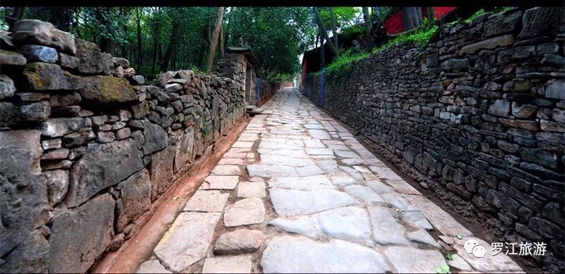 罗江赏梅花,罗江的礼物去哪买