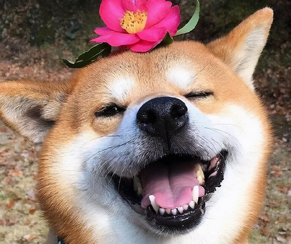 (二百八十二)名声