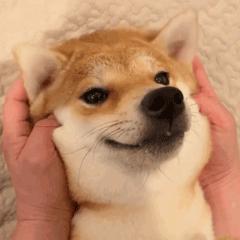 医保目录调整后,医保目录有的药医院不给报