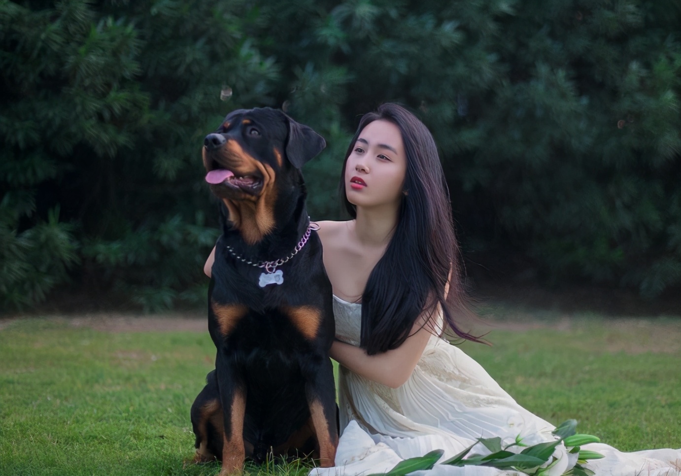 最好养而忠心的狗,公认十大适合上班族养的小型狗