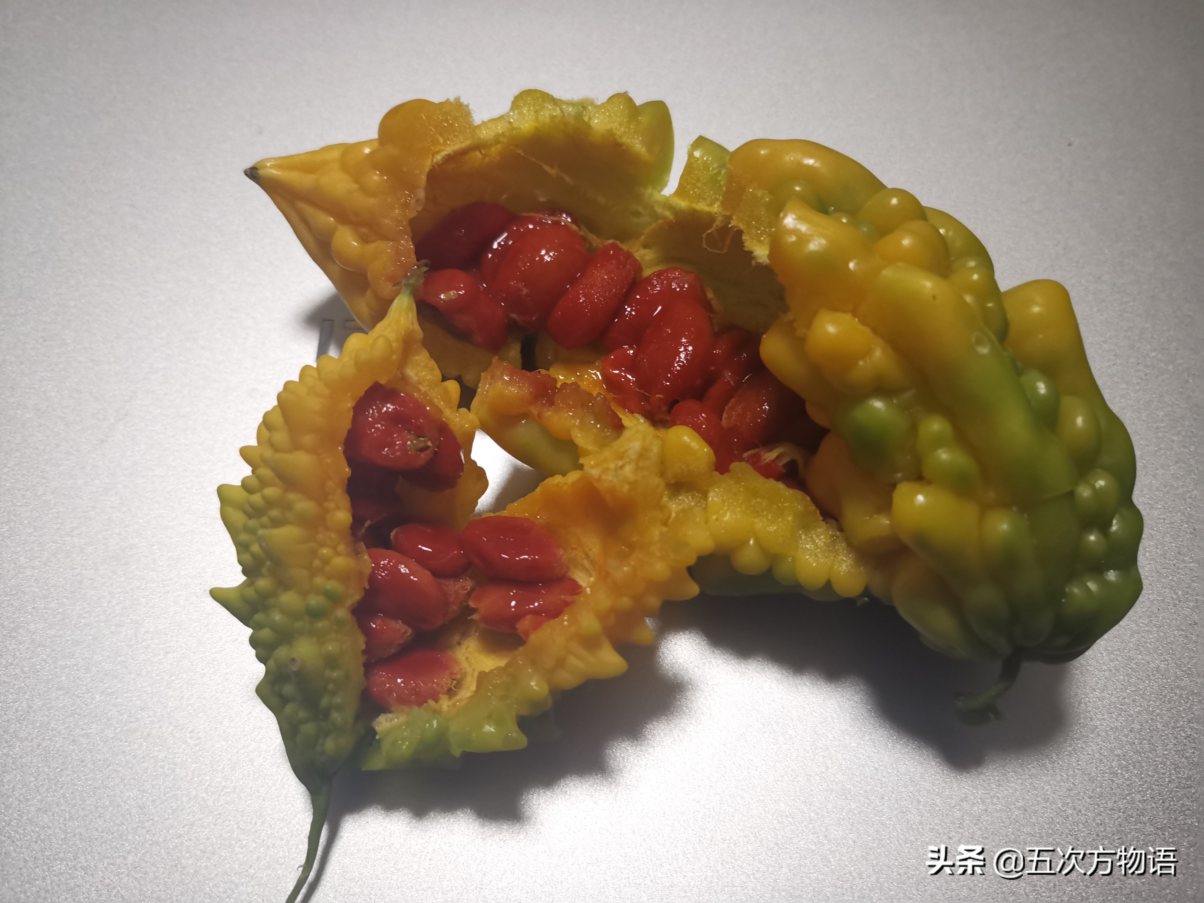 不管你承认与否,不管你承认不承认生活都得继续