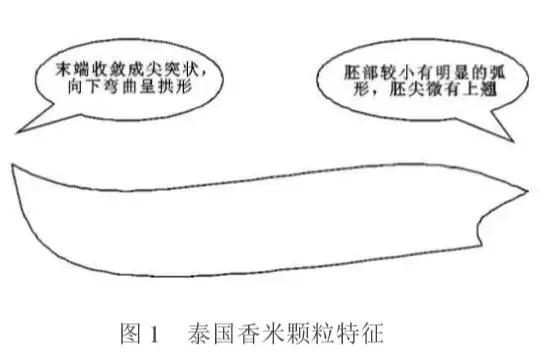 买不到正宗的泰国香米,正宗的泰国香米什么价钱