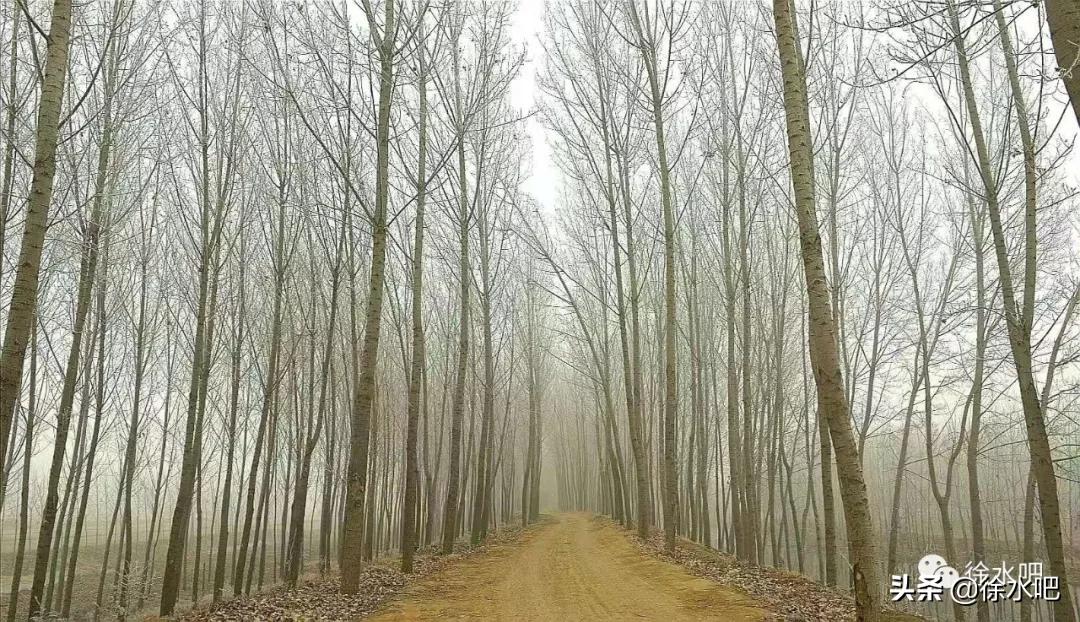 「徐水映像」换个角度看保定徐水,美