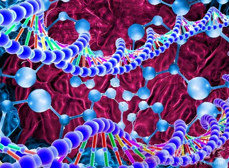 白蛋白属于营养物质吗,什么白蛋白是营养药