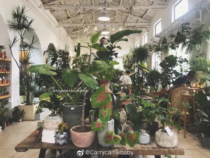 福州复古咖啡探店,福州高逼格咖啡店