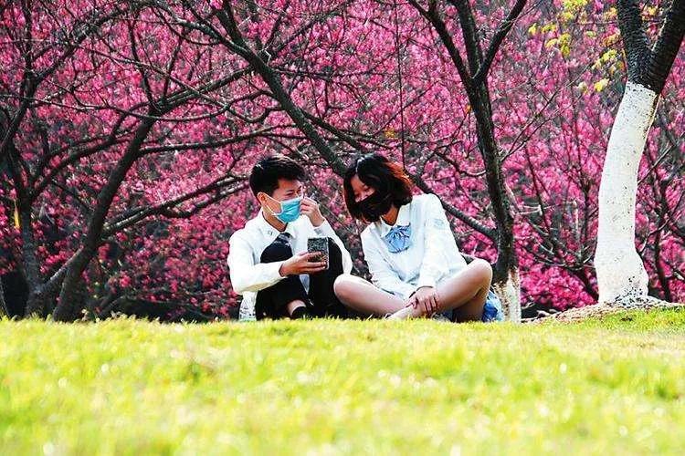 天津即将完工的公园,天津新开放的公园