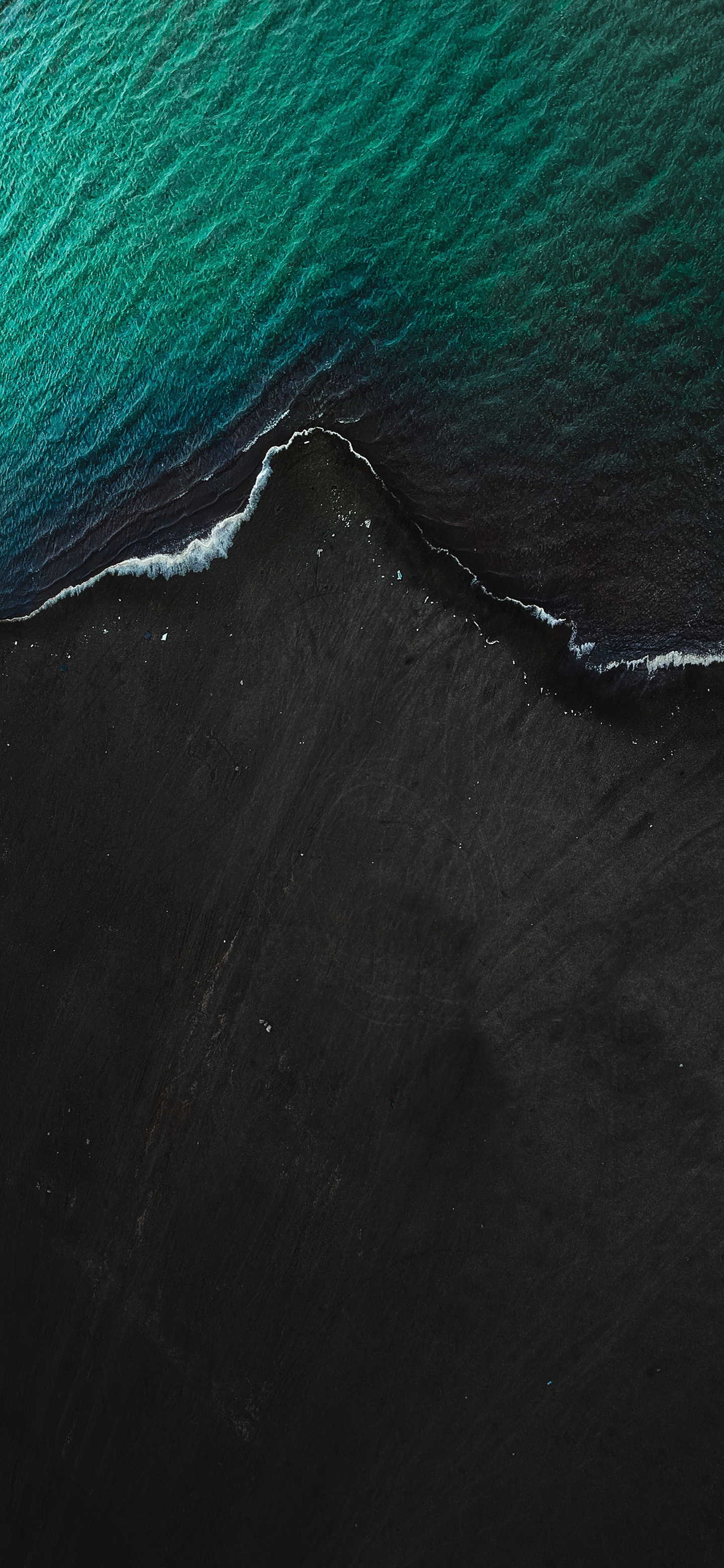 蓝天大海沙滩椰树图片高清壁纸,太阳蓝天大海海鸥的壁纸