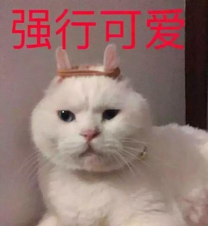 陈志朋恨天高,恨天高四角裤图片