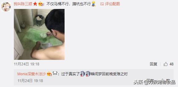 猫砂可以直接倒入马桶吗,猫砂可不可以倒入马桶