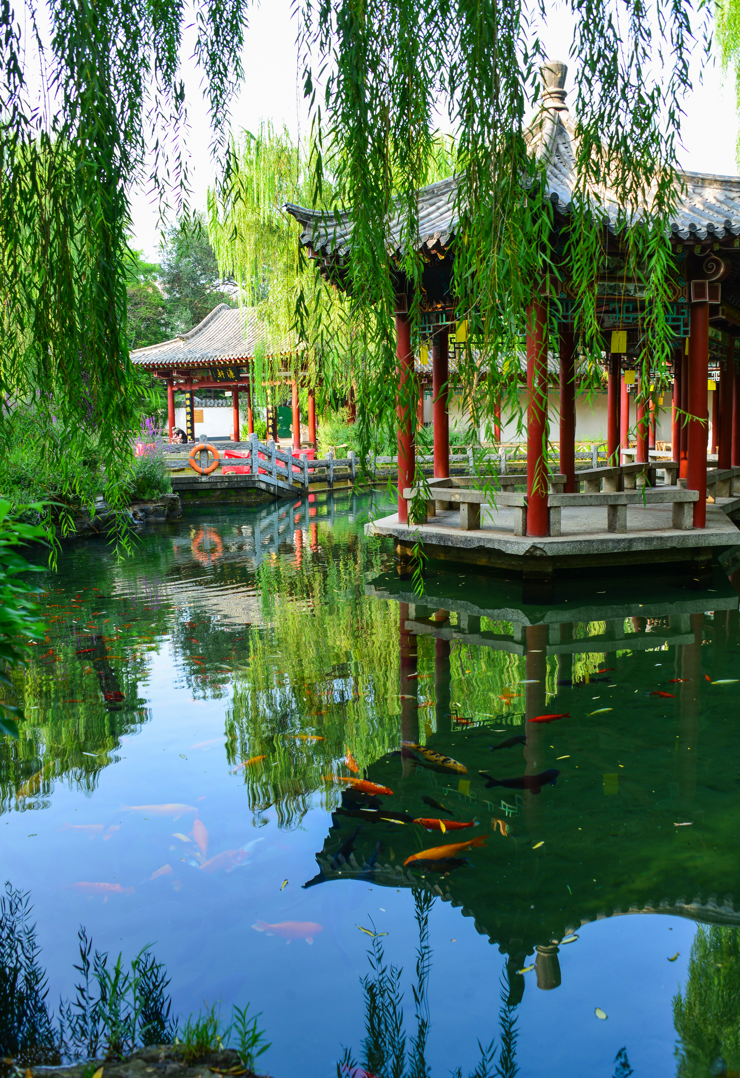 济南七十二名泉之水帘泉,济南七十二名泉之晓露泉在哪里