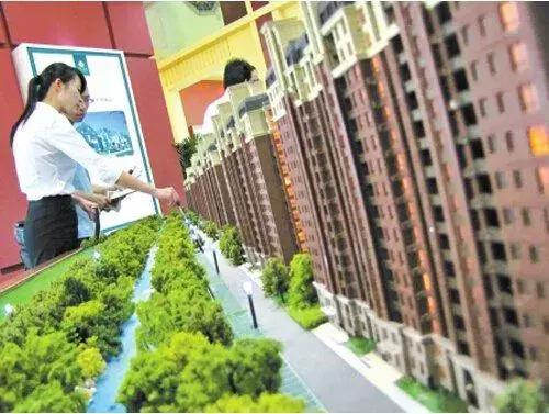 河南“水果猎人”走遍东南亚雨林，吃过600多种水果；月球上长出第一株绿芽，种子培育来自安阳丨大河早新闻