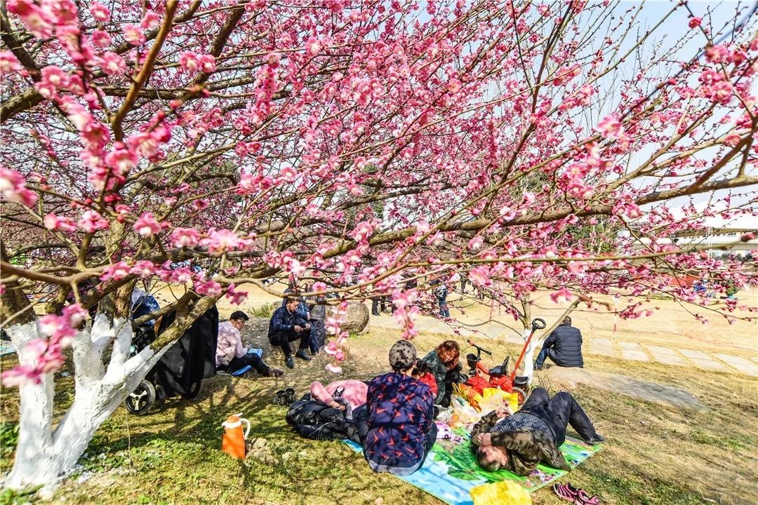 成都市秀丽东方,成都秀丽东方还在开放吗