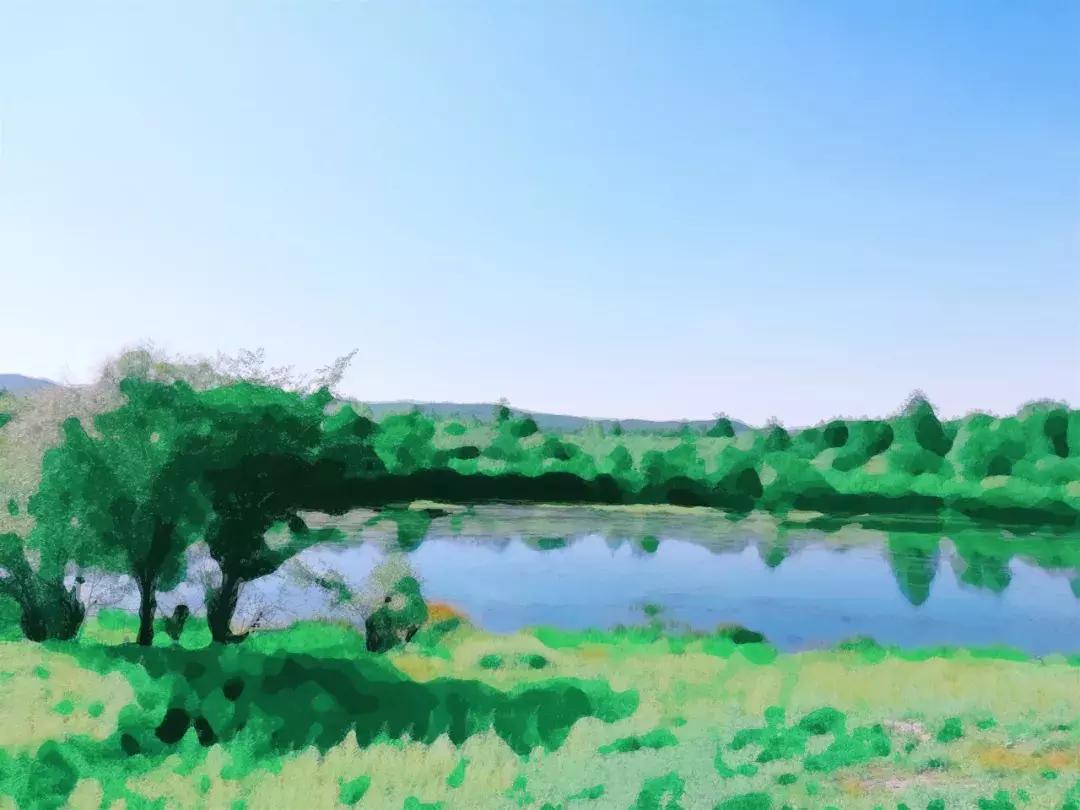 迟子建散文经典语句,迟子建散文人生感悟语句