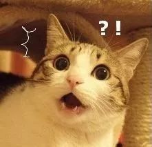 取得教师资格证后如何就业,大专考教师资格证好就业吗