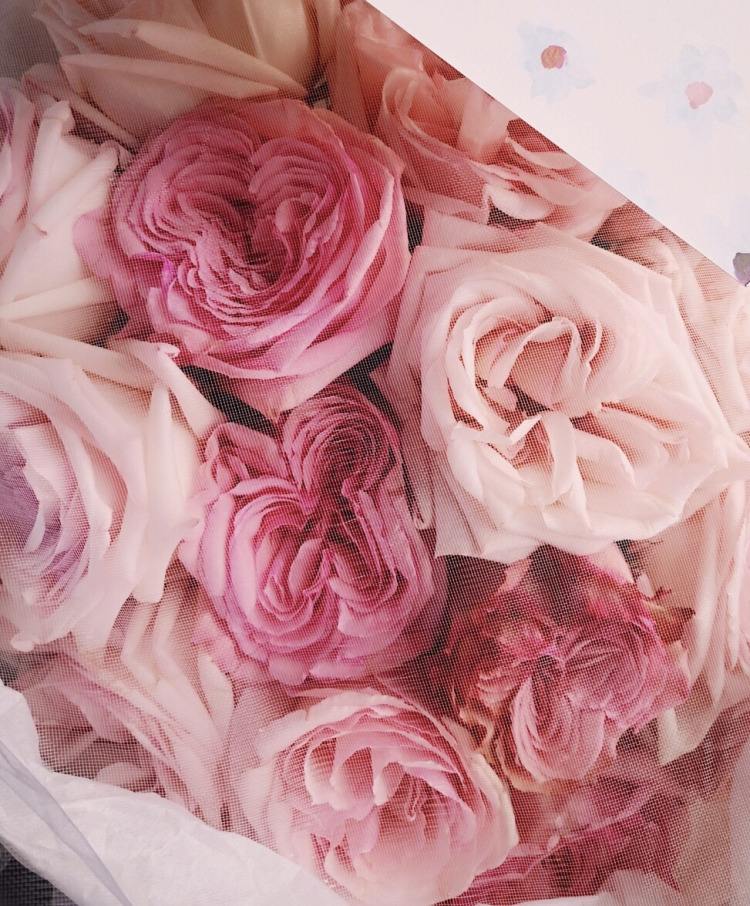 白色荔枝玫瑰花语寓意是什么,粉荔枝白荔枝混搭花束花语