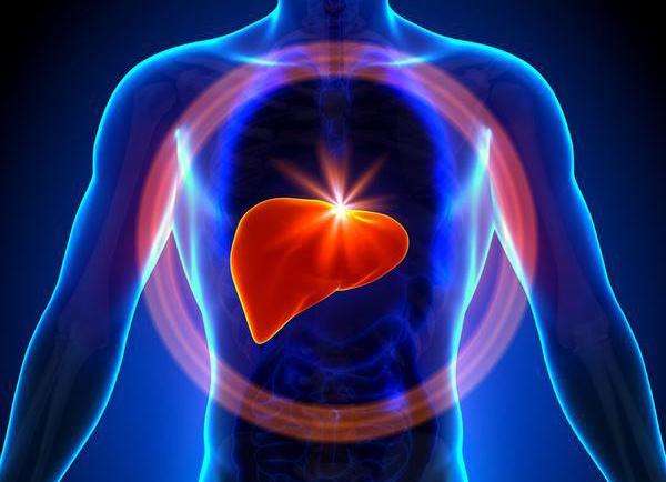 间充质干细胞治疗肝病的最新消息,前沿干细胞移植治疗肝病最新研究