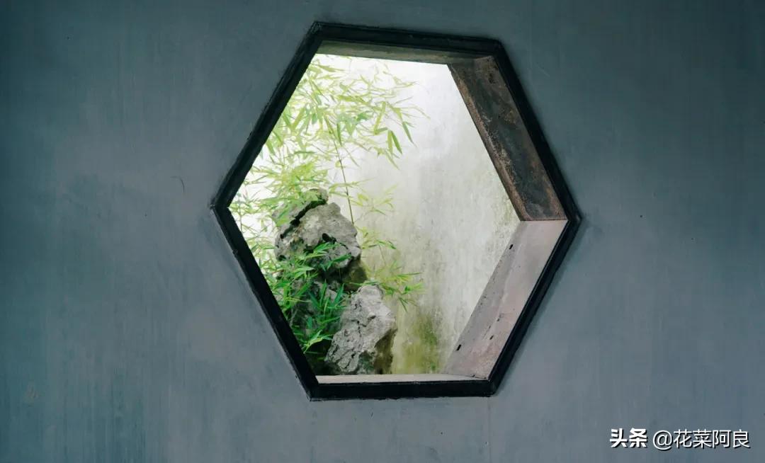 留园拙政园哪个景色好,留园和拙政园