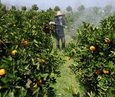 农药杀虫杀菌大全,药效长的杀虫杀螨农药