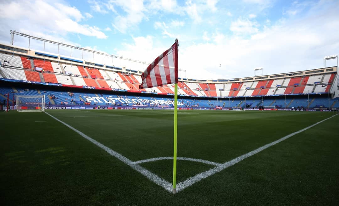 再见2019版,再见2019粤语版