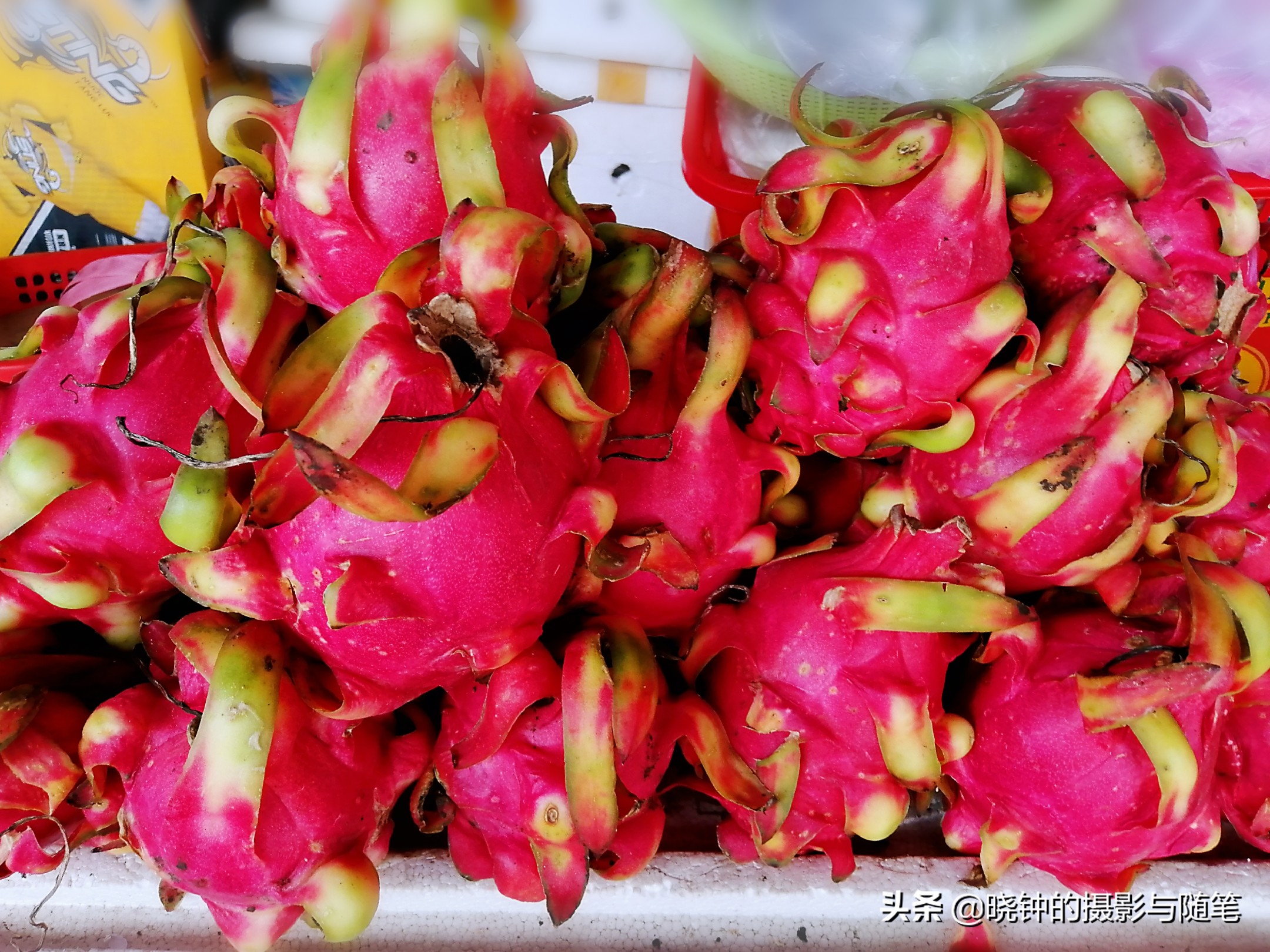 越南岘港特色水果,越南水果有什么好吃的