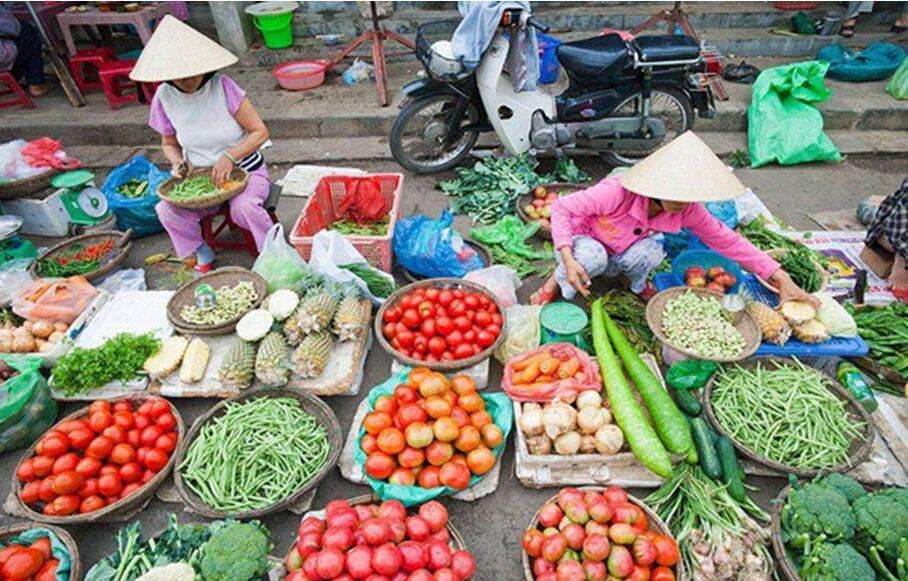 卖蔬菜怎么样才能赚钱解答,蔬菜零售生意火爆诀窍