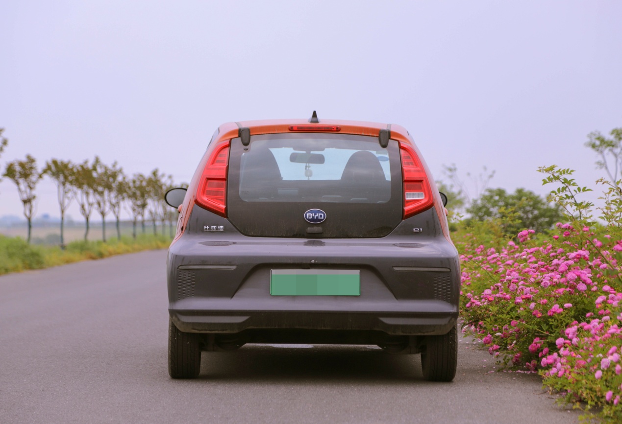 萌新小车推荐,新能源萌车推荐