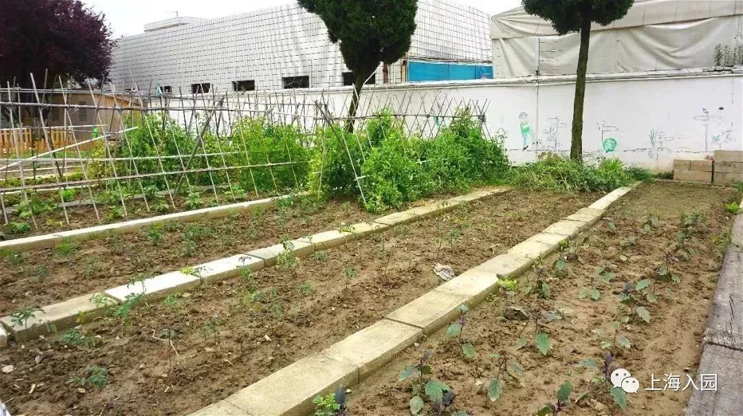 探园幼儿园环境,探园幼儿园招远