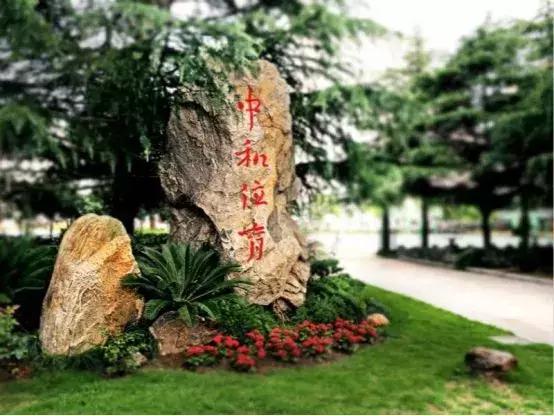 西南位育中学实验班成绩,西南地区排名第一的中学