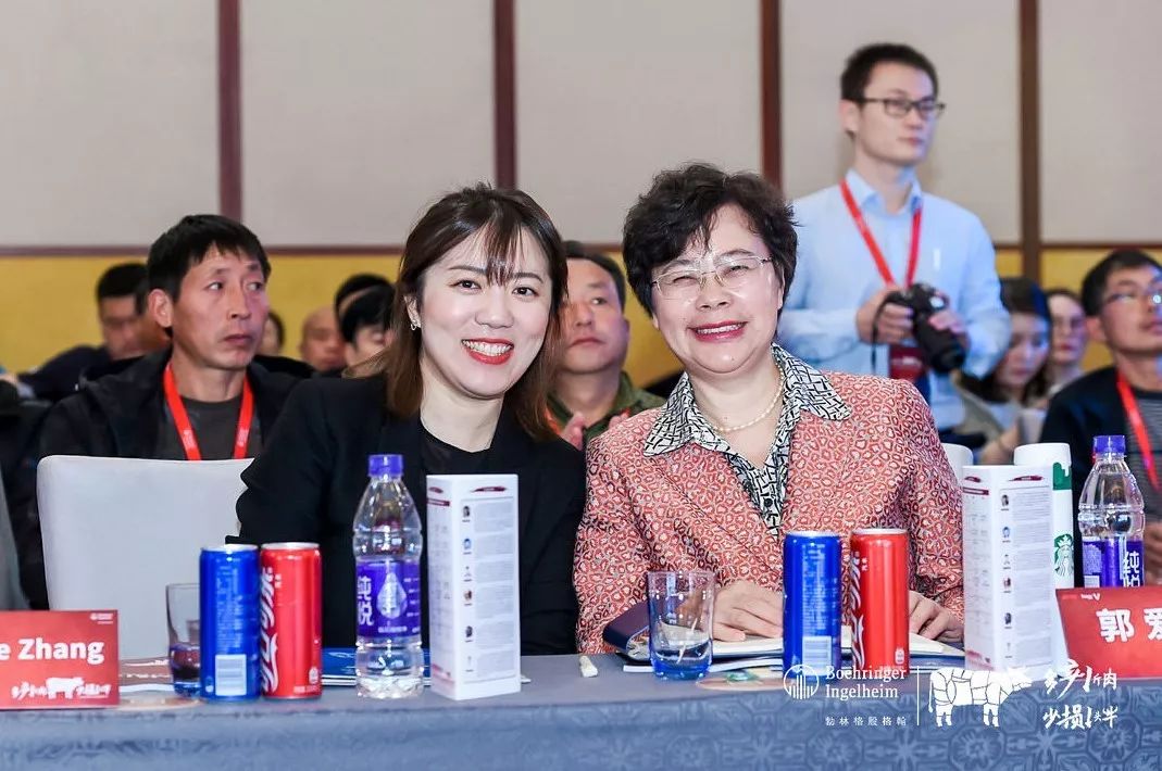 这一次，风口上站的是肉牛