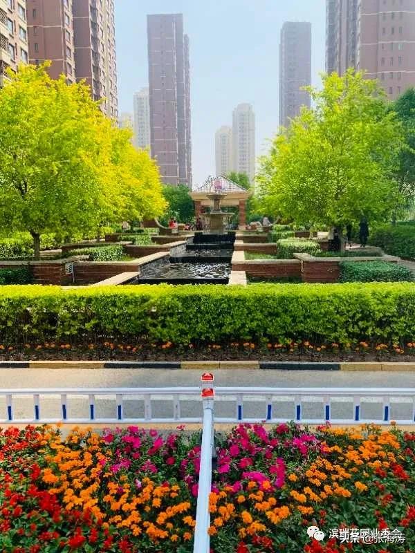 滨瑞花园业委会对星河物业滨瑞花园团队阶段工作的表扬